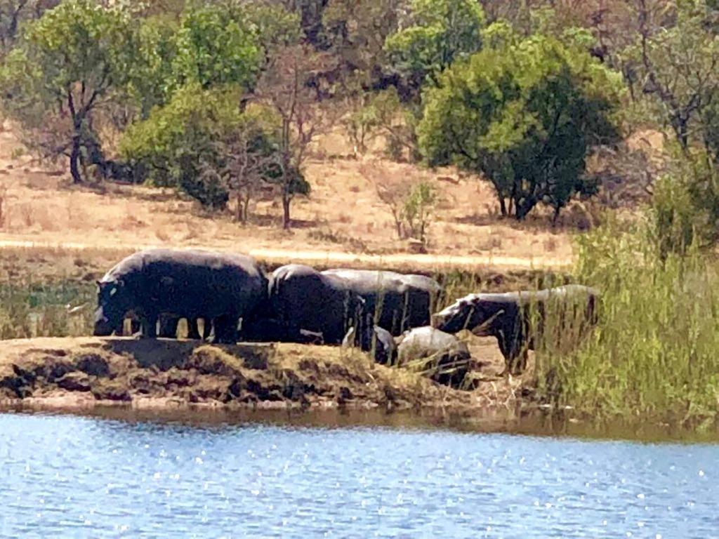 Kuwisa Lodge Bela-Bela Buitenkant foto