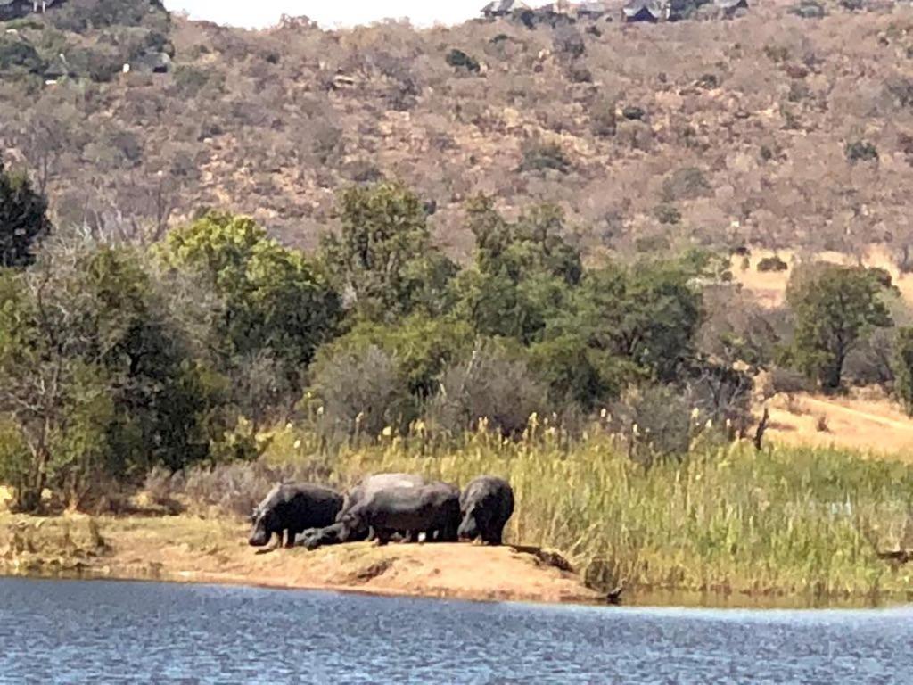 Kuwisa Lodge Bela-Bela Buitenkant foto