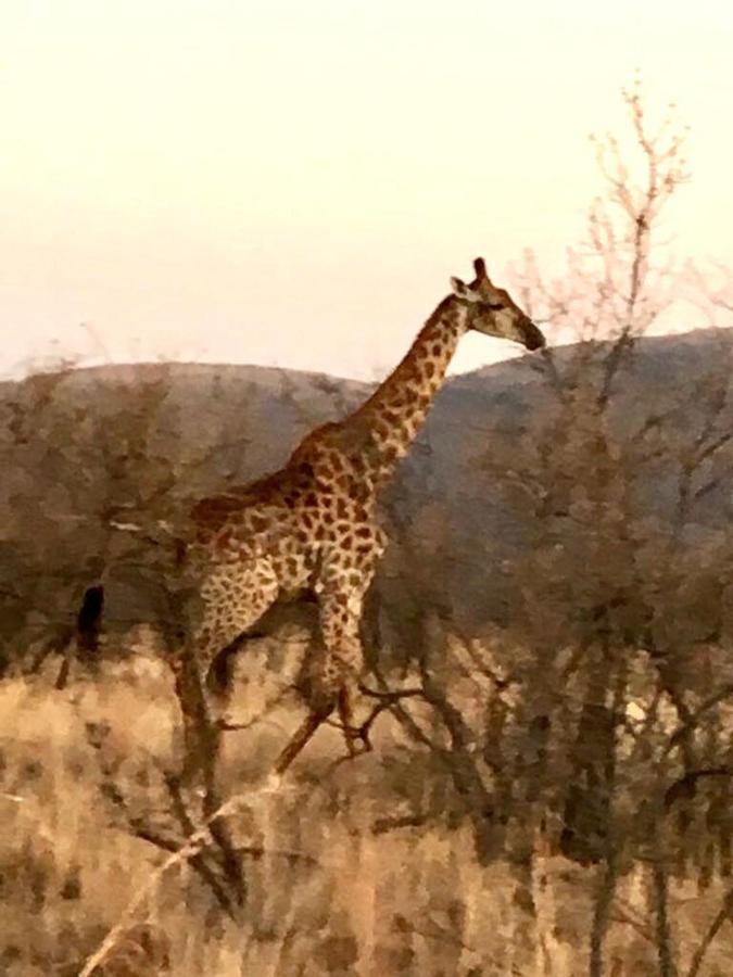 Kuwisa Lodge Bela-Bela Buitenkant foto